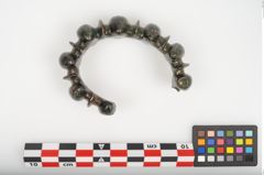 Foto von Bronzebuckelarmreif (NHMW-PRAE-025969)